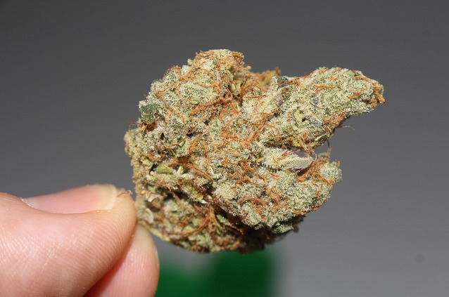marijuana