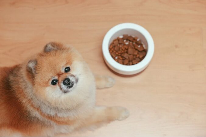 treats